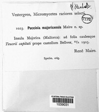 Image Associated With the Occurence